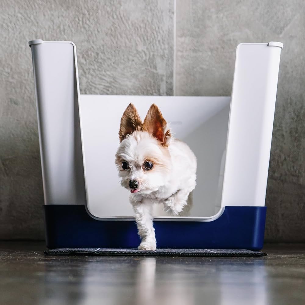 Best Dog Litter Boxes for Indoor Potty Training: Top Options Reviewed