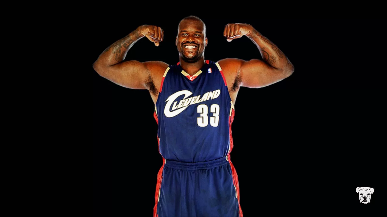 The Fattest NBA Players of All Time: Weight Records and Surprising Stats