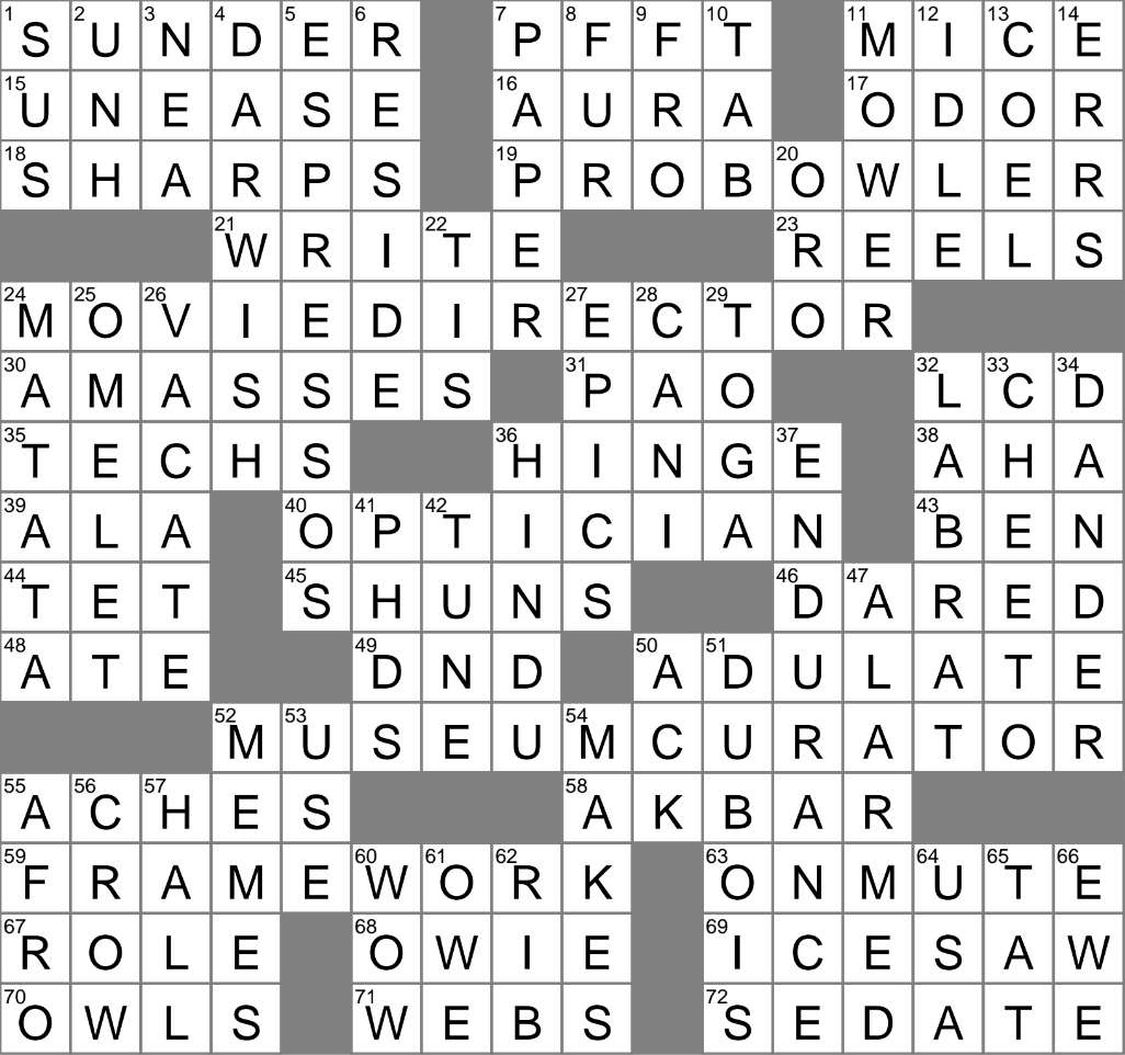 some wnba fouls crossword clue