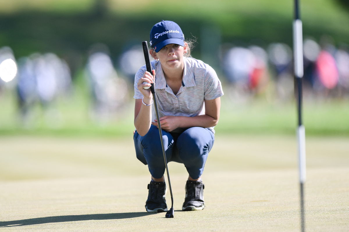 Understanding the Asterisk Golfer Term in Golf World