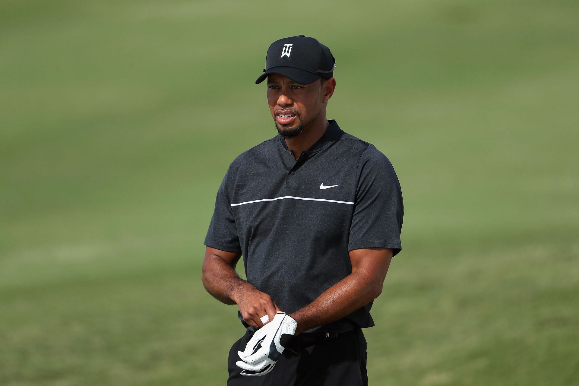 Tiger Woods Favorite Golf Glove: What Does He Use & Why?