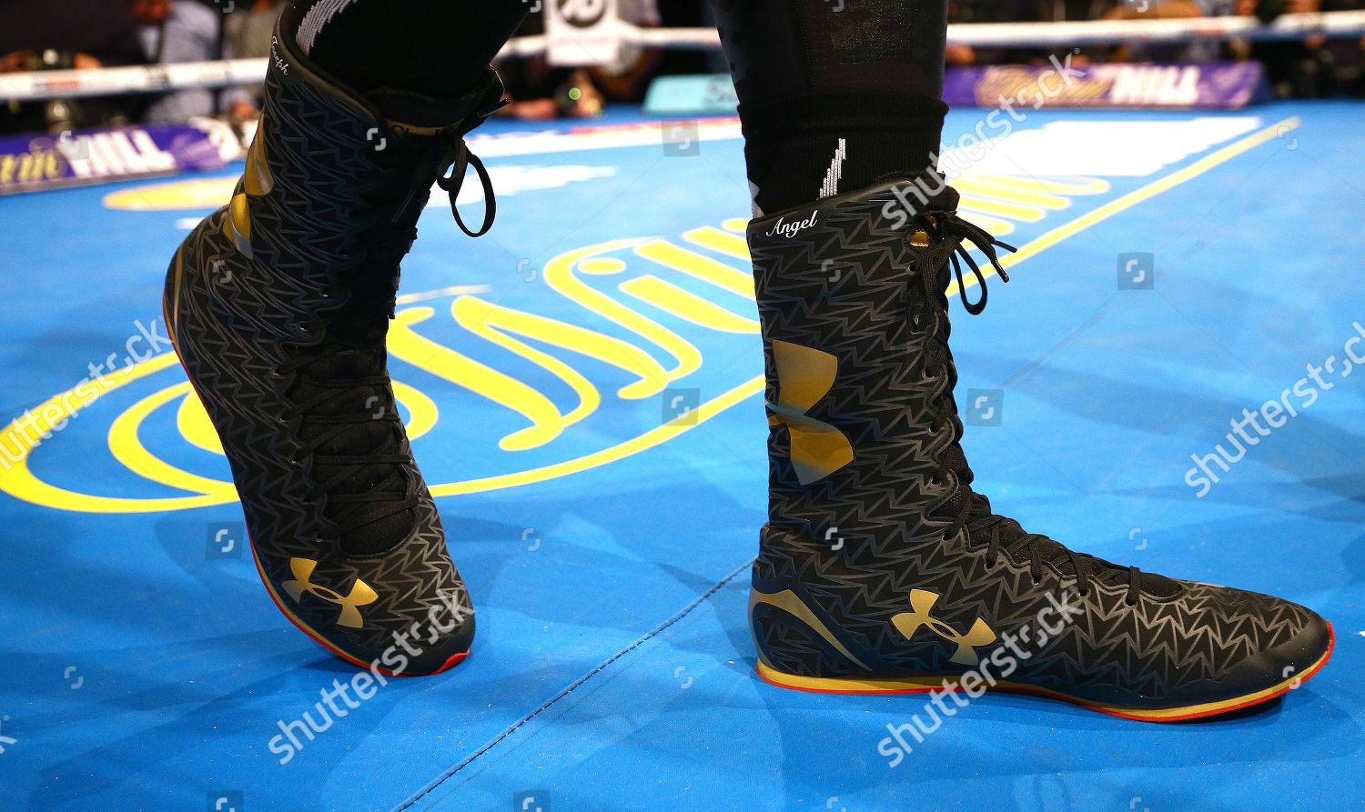 Best Boxing Shoes Inspired by Anthony Joshua, Top Styles