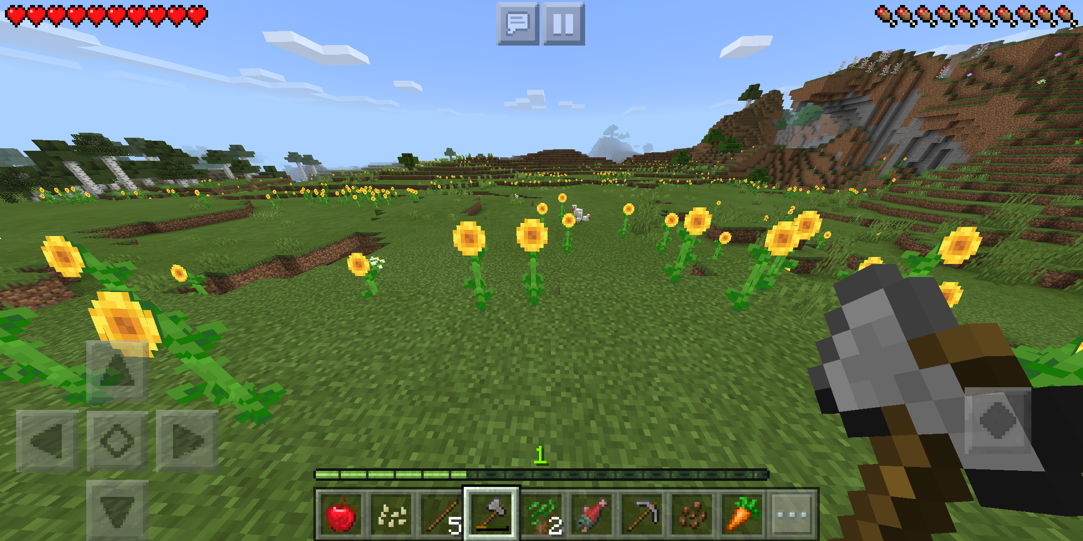 Looking for Sunflower in Minecraft? Use This Command!