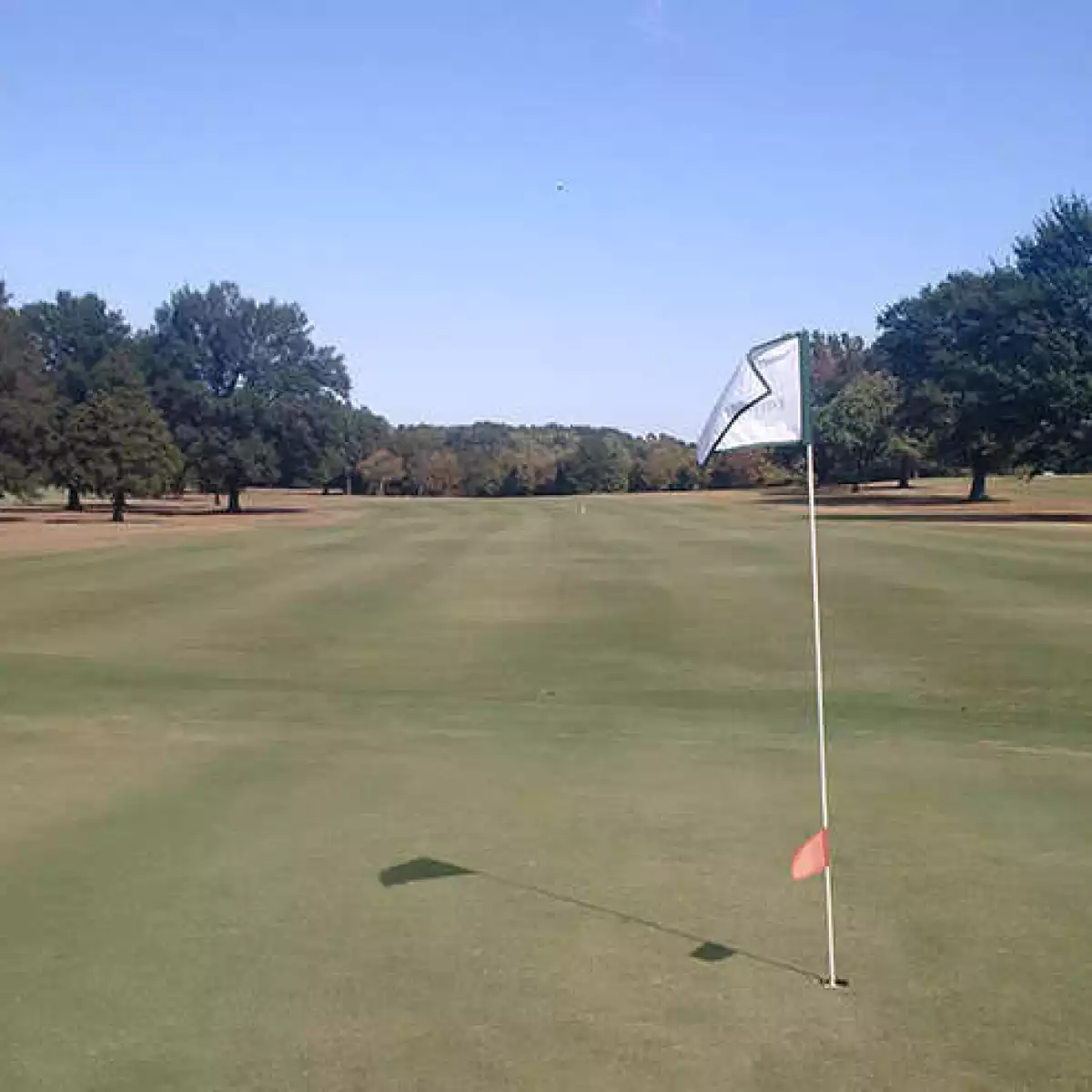 The Links at Fox Meadows Golf Course: Memphis Best Public Golf?