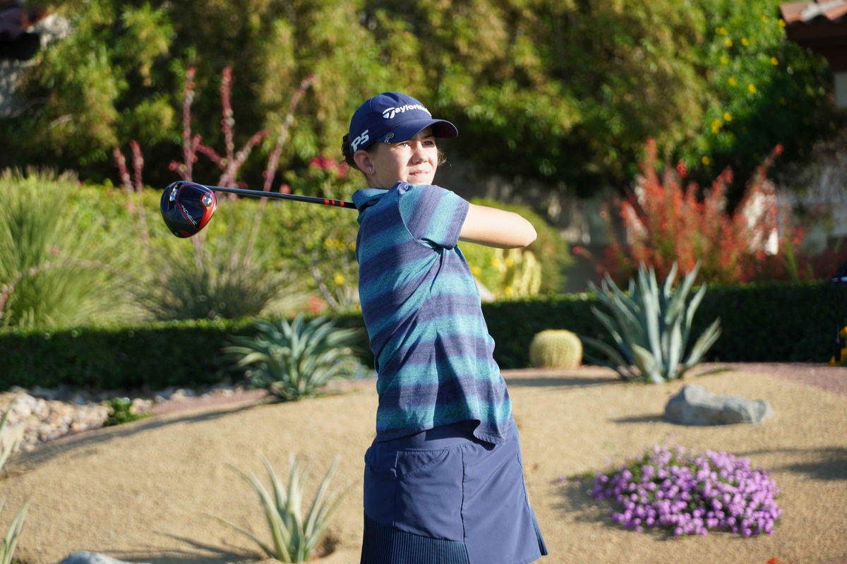 Understanding the Asterisk Golfer Term in Golf World