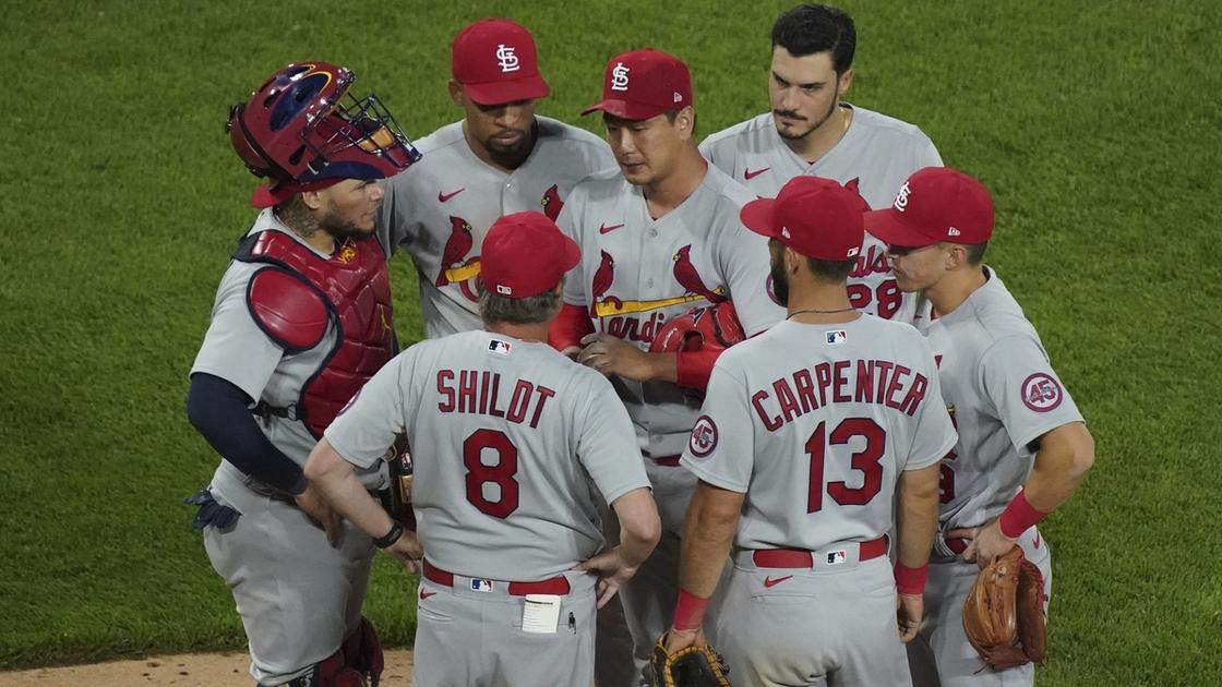 Learn about mlb mvr: What does it mean for you?