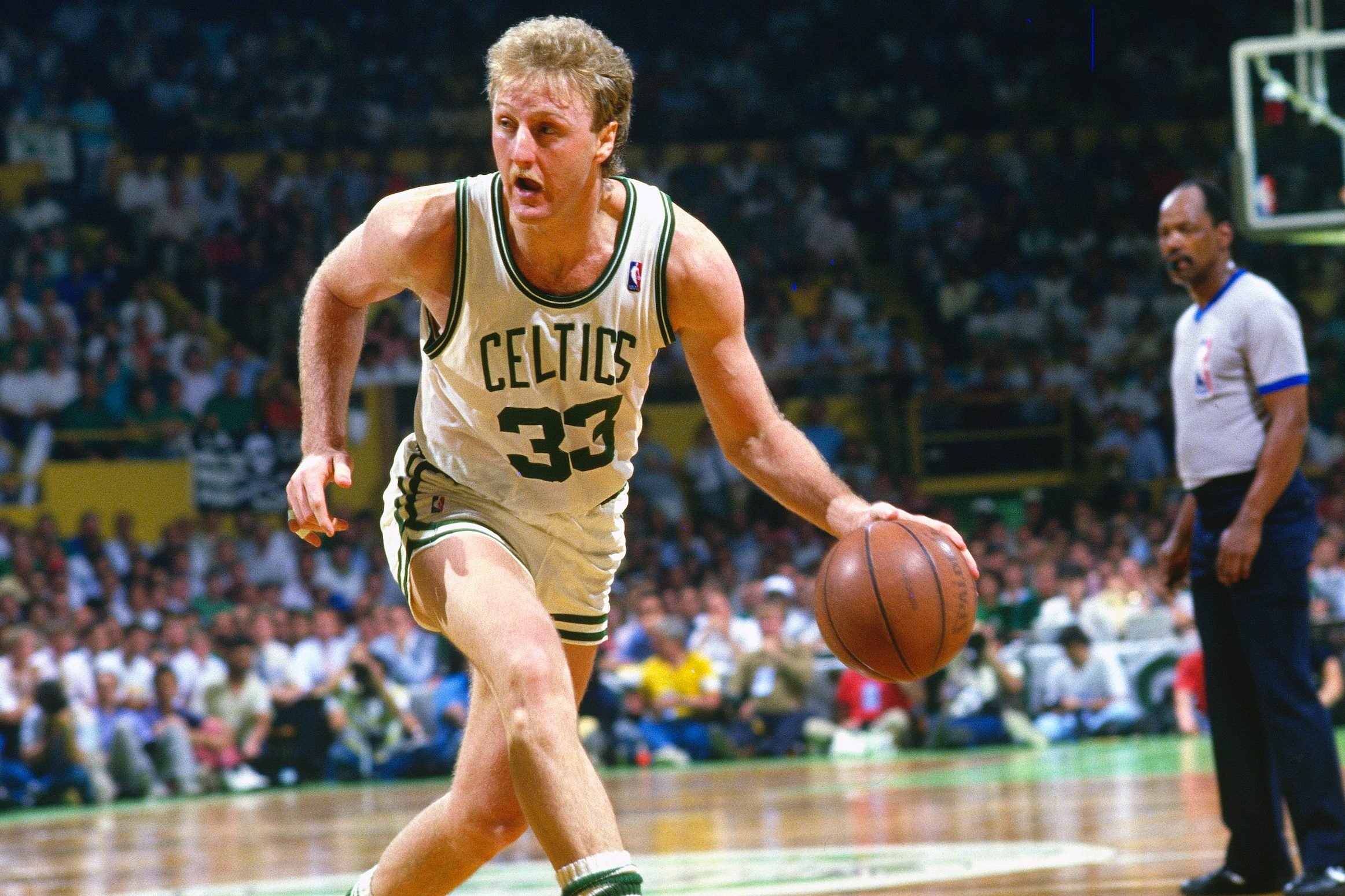 Spotlight on Famous White NBA Players: Their Stories and Stats