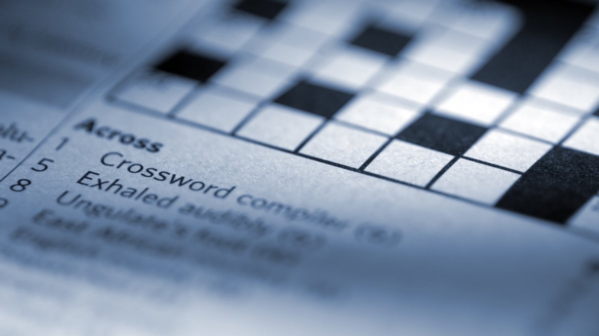 Need Help with Box filled with bags NYT Crossword Clue?
