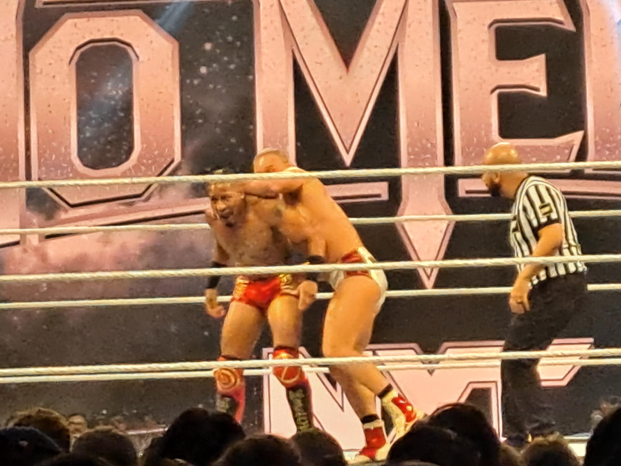 WWE Returns to Bakersfield, CA: A Night of Thrilling Wrestling