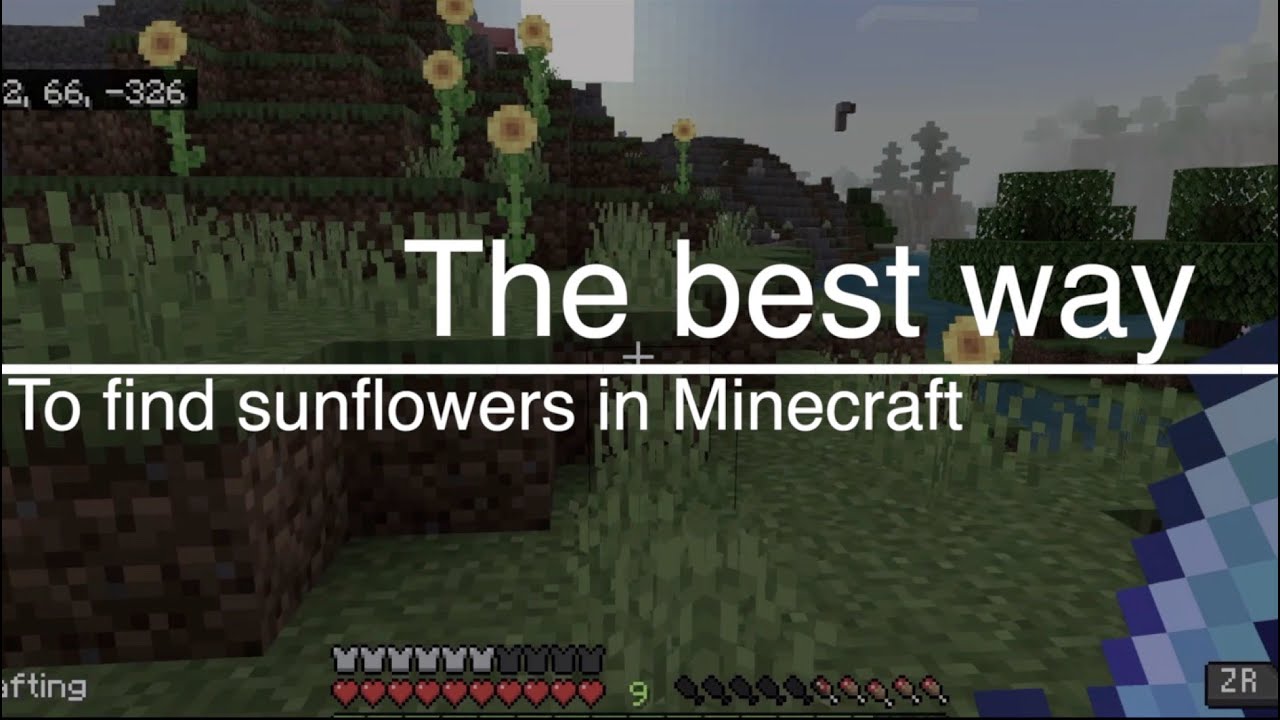 How to Use Minecraft Command to Get Sunflower Field? Simple Tricks to Spawn Fields Instantly!