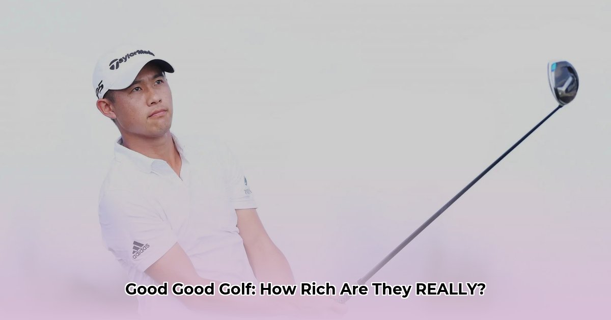 Checking on Good Good Golf Net Worth, Easy guide for their Money!