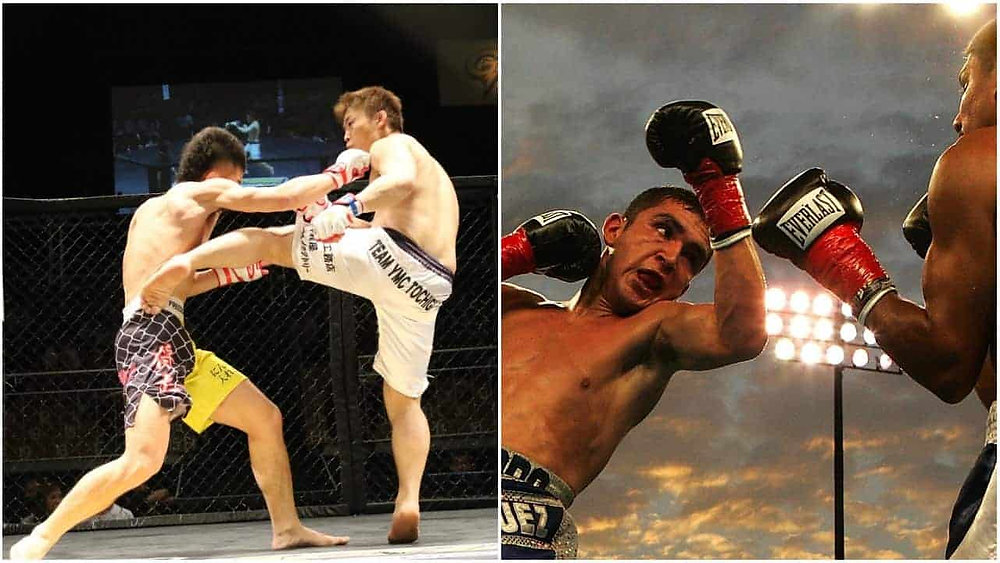 The Big Question: Is MMA More Popular Than Boxing Currently?