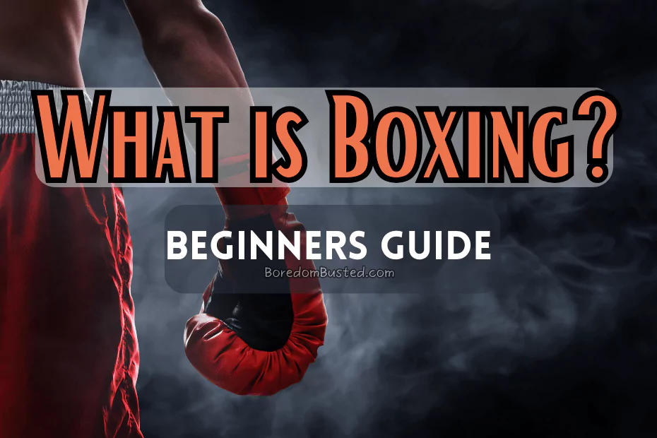 All About Amateur Boxing Belts: A Beginners Guide