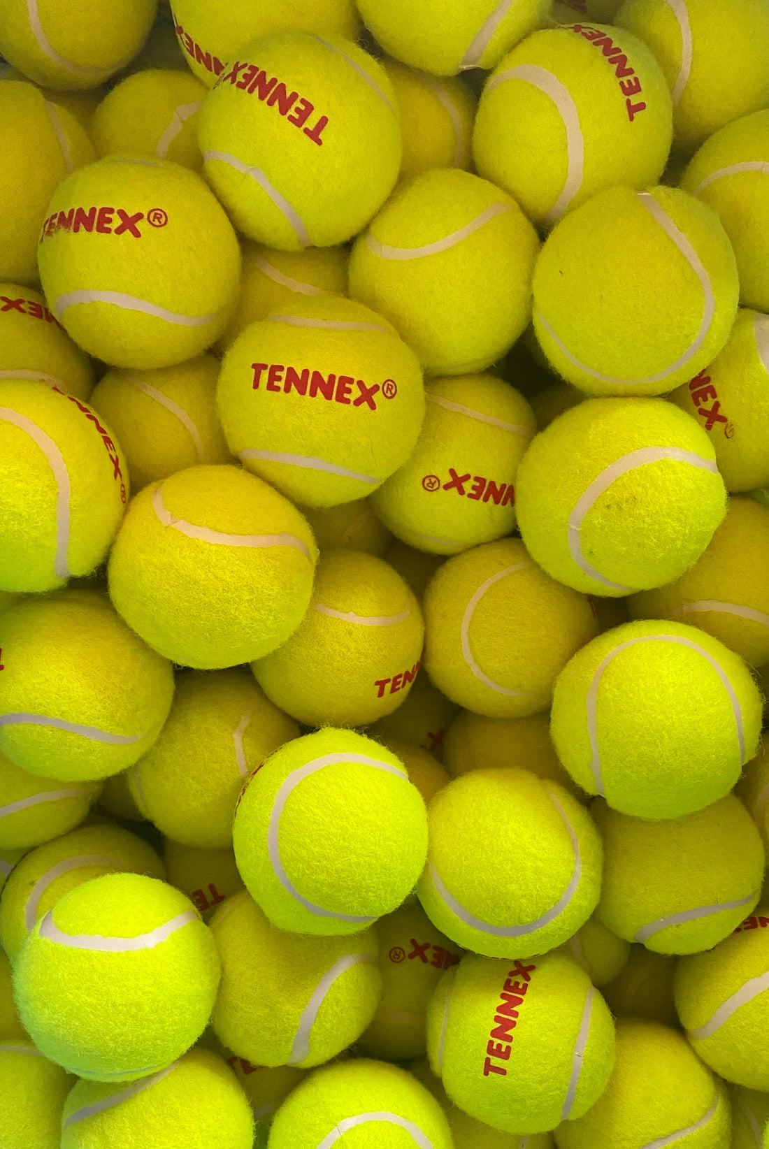 Cricket Ball Tennis: Understanding the Basics of the Game.