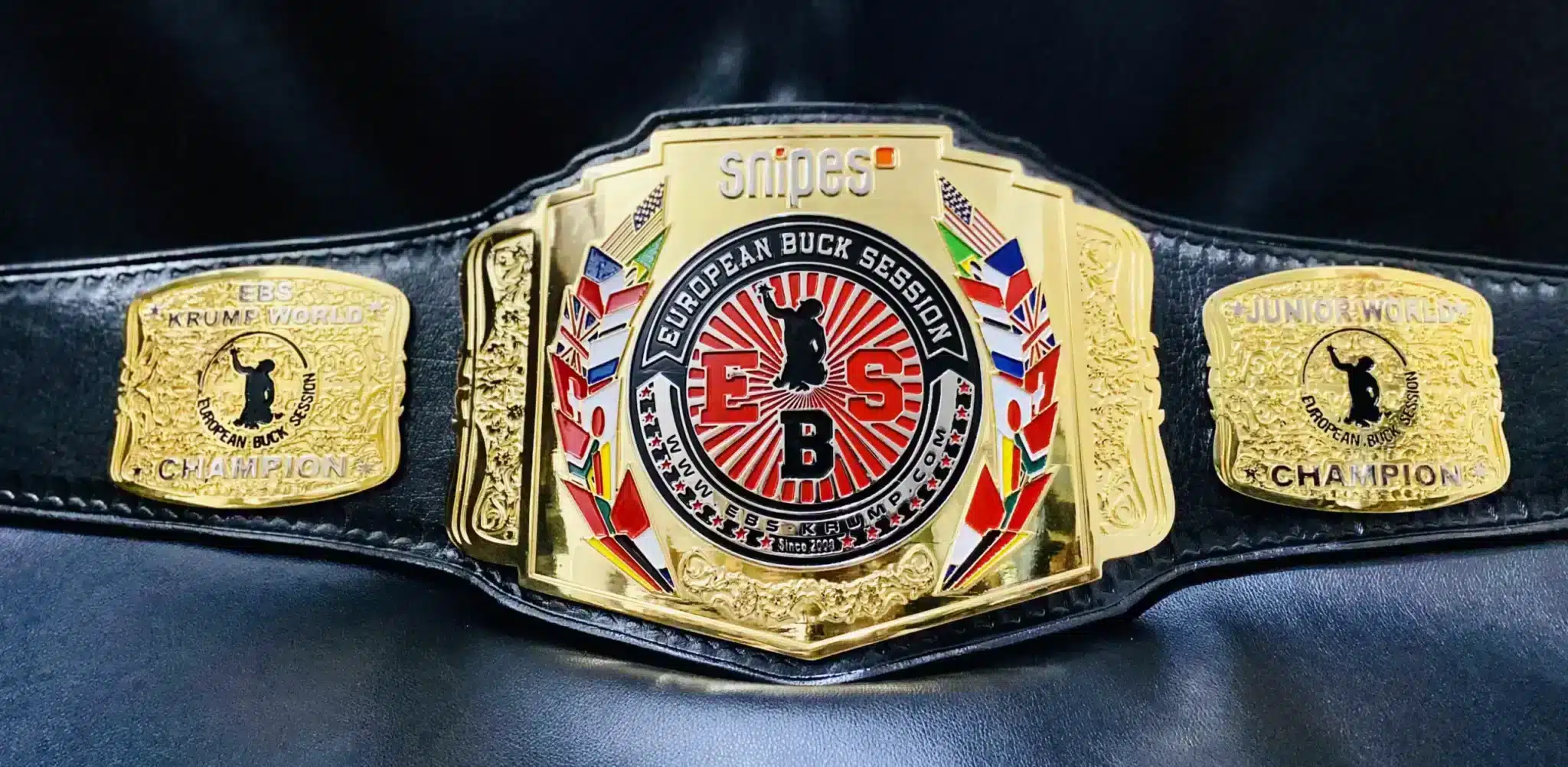 How much do real kickboxing championship belts typically cost? Get a clear idea about prices before you buy.