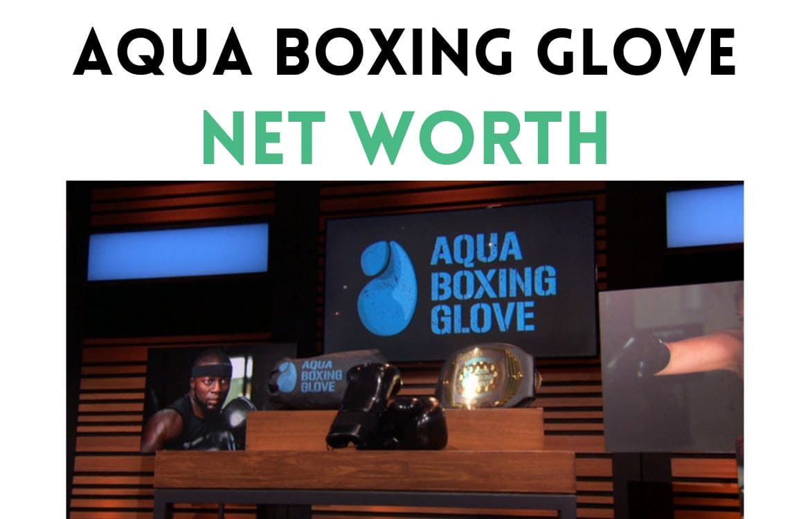 Want to know the aqua boxing gloves net worth 2023? Get the easy-to-understand facts right here.